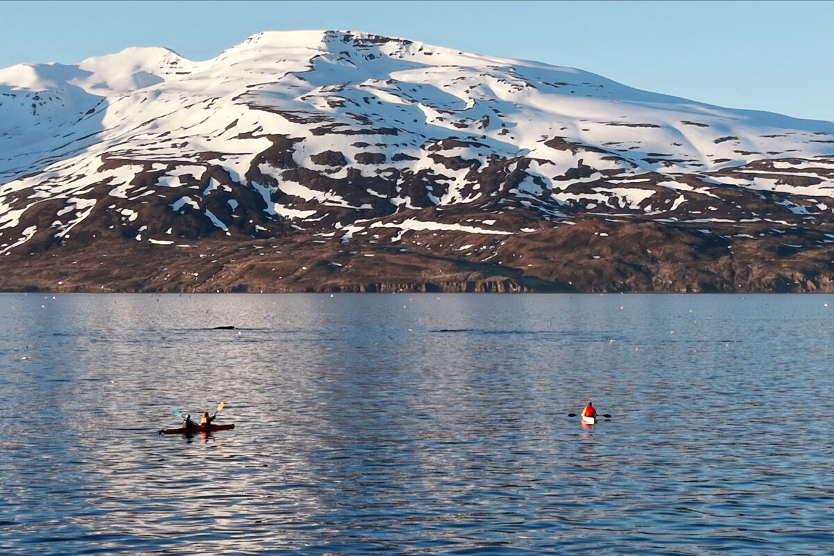 Kayaks In The Water With A Snowy Mountain In The Background in Iceland