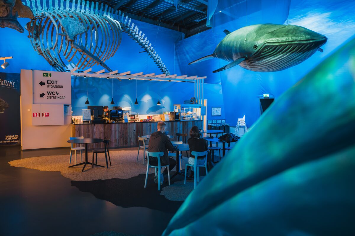 Cafe At Whales Of Iceland in Reykjavik