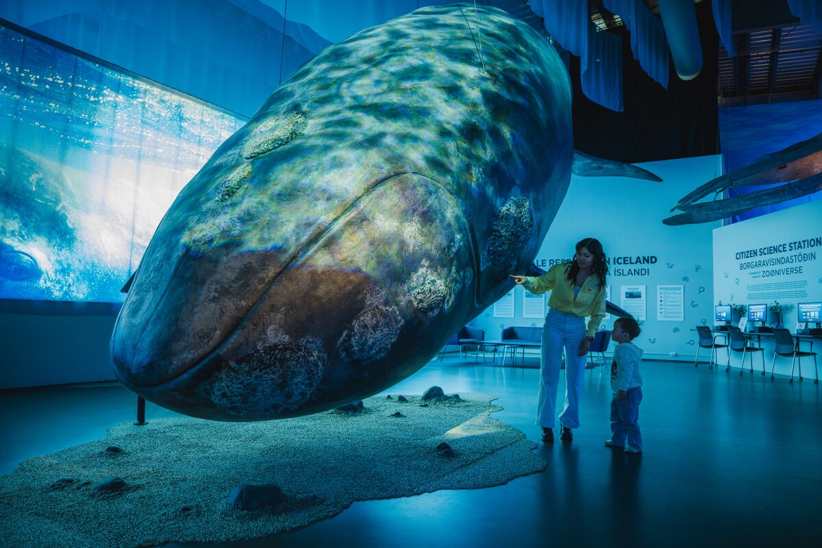 Mother And Child Close To A Big Stuffed Whale in Whales of Iceland