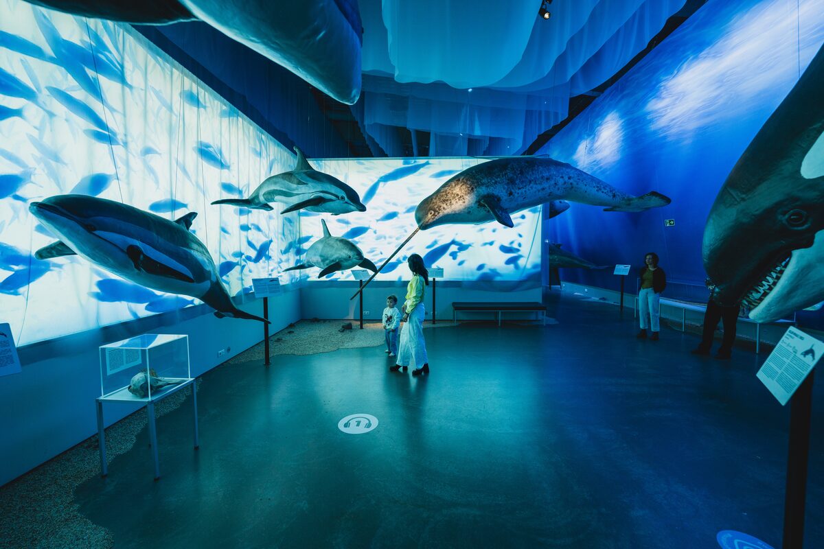 People At Whales Of Iceland Enjoying The Museum in Reykjavik