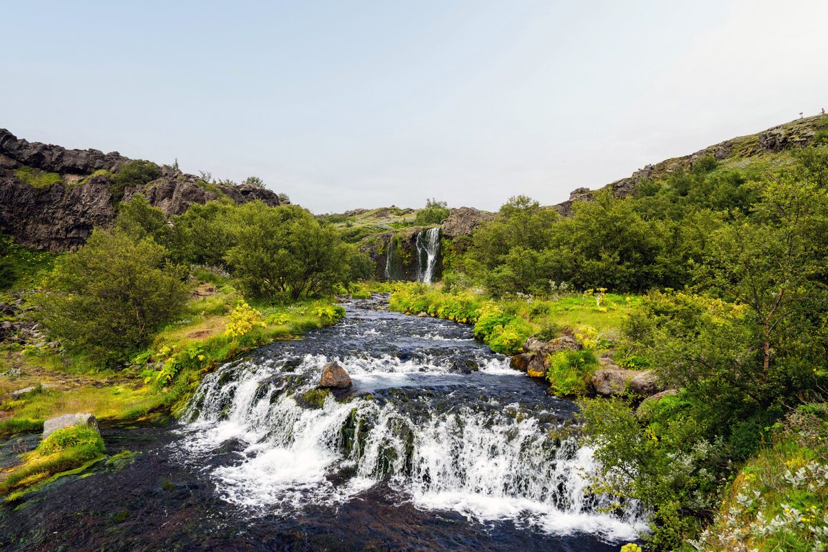 Small waterfalls and green mossy rock in Gjáin valley, Þjórsárdalur.