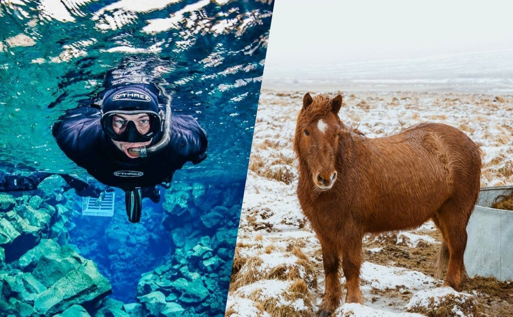 Horse Riding & Snorkeling Tour