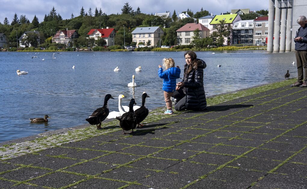 Icelandic Names: How They Work, What They Mean, and Who Approves Them