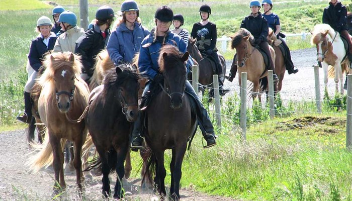 horseback riding tour in summer