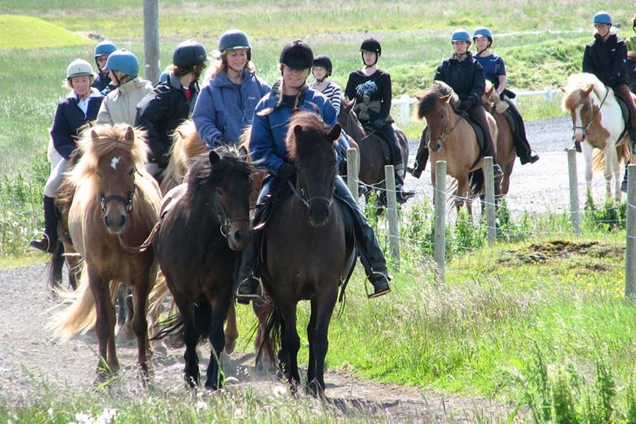 horse riding tour in summer