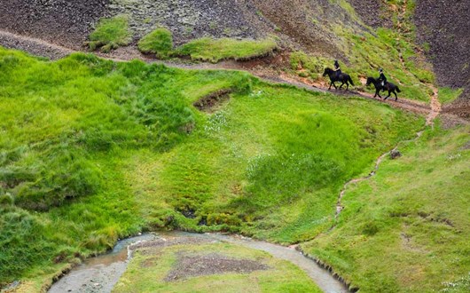 La Visite De L'héritage Islandais