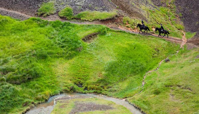 horseback riding in south of Iceland