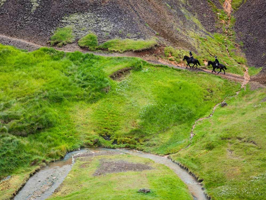 horse riding in south of Iceland