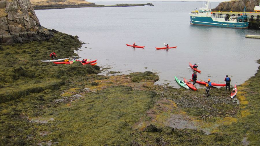 group kayaking tour in sea
