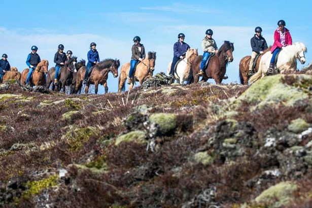 horseback riding tour near Reykjavik
