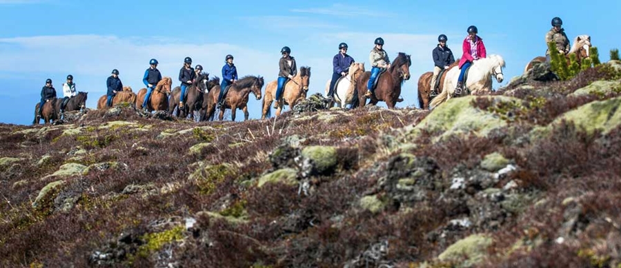 horse riding tour near Reykjavik