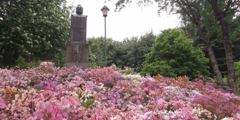 Why are there no trees in Iceland Arctic Adventures