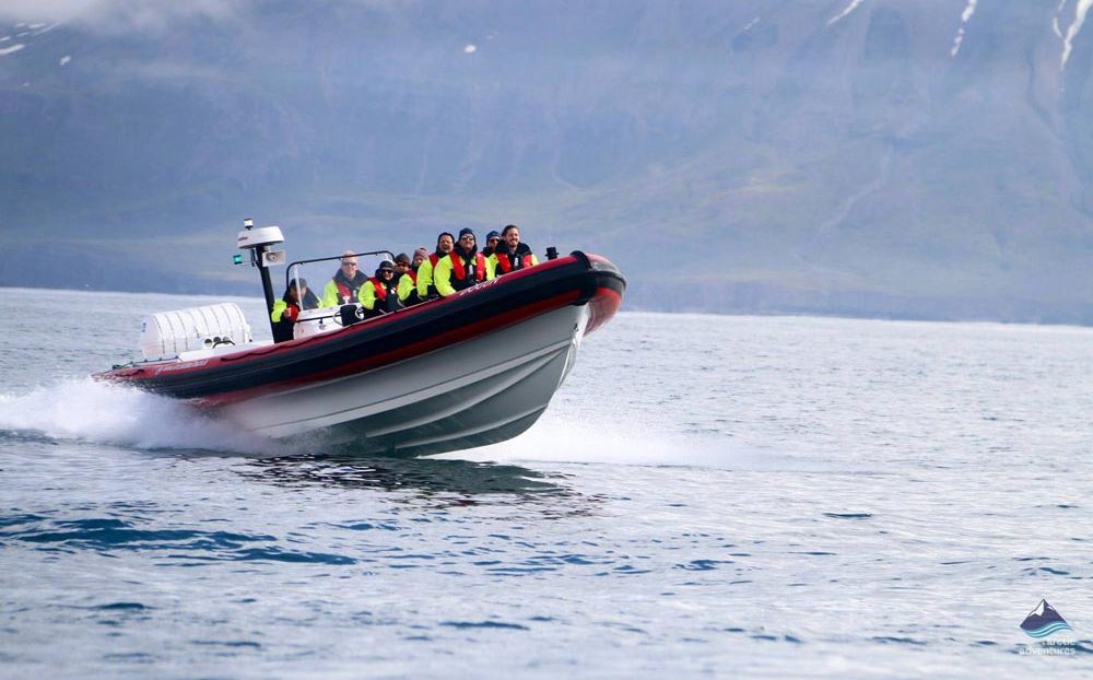 whale watching boat tour in Iceland