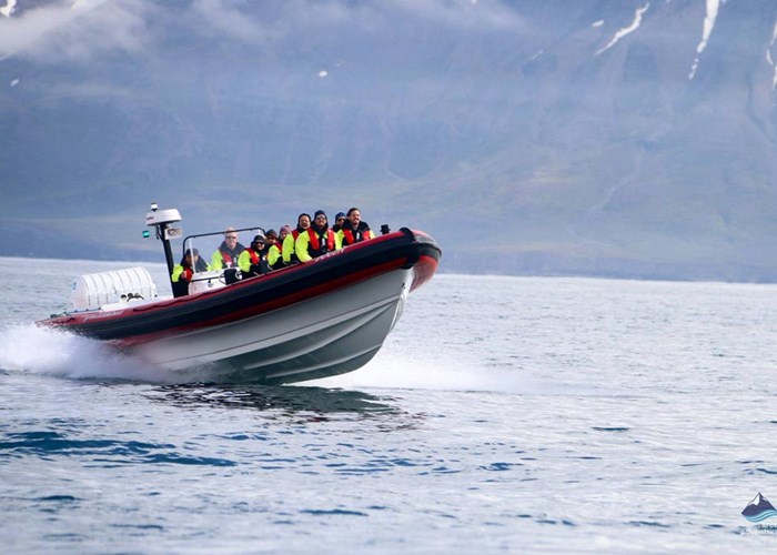 Boat tours in Iceland