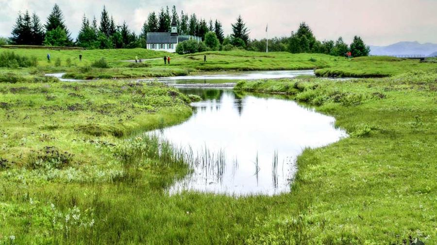 green field in Iceland