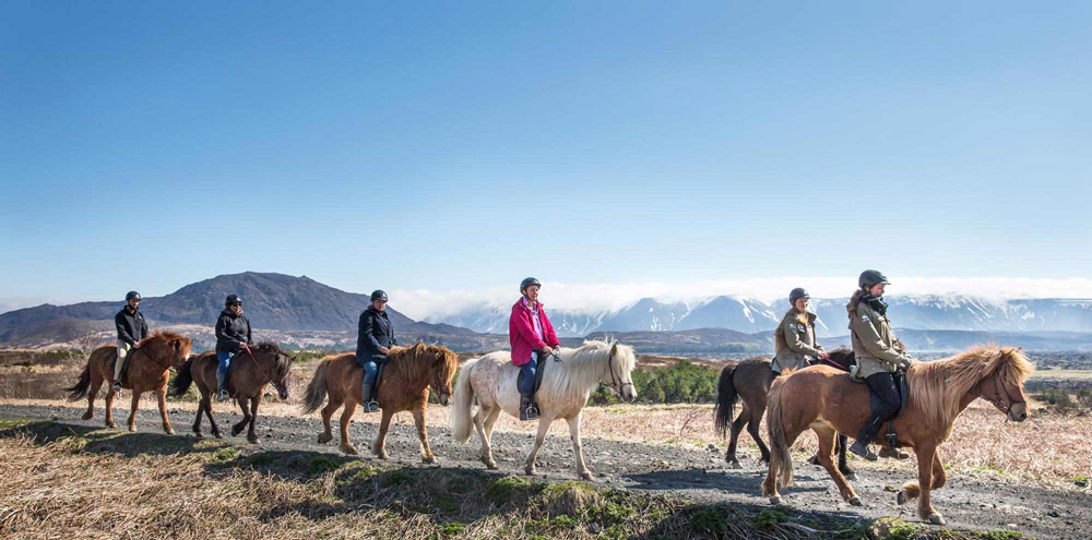 Reykjavík Horse Riding Tour | Arctic Adventures