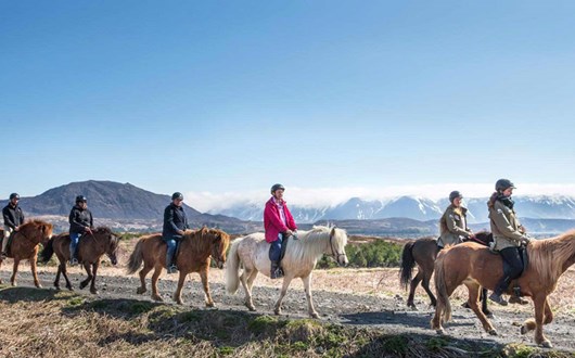 Reykjavík Horse Riding Tour