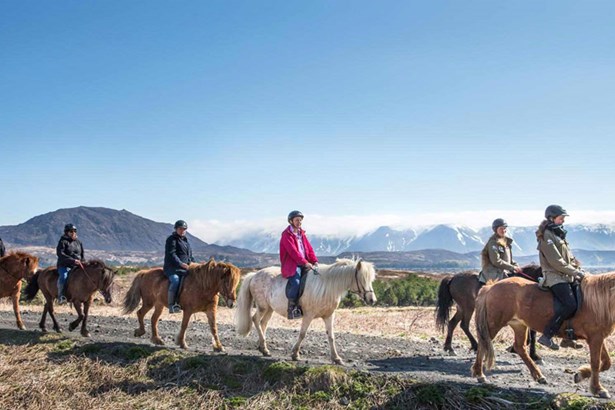 small group horseback riding tour in Iceland