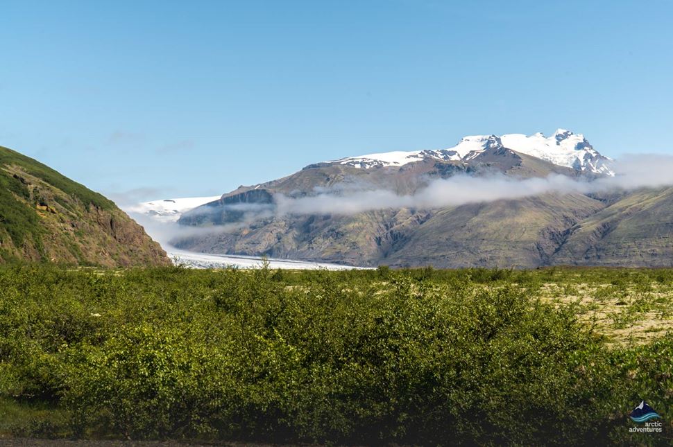 view of Skaftafell Nature Reserve in summer