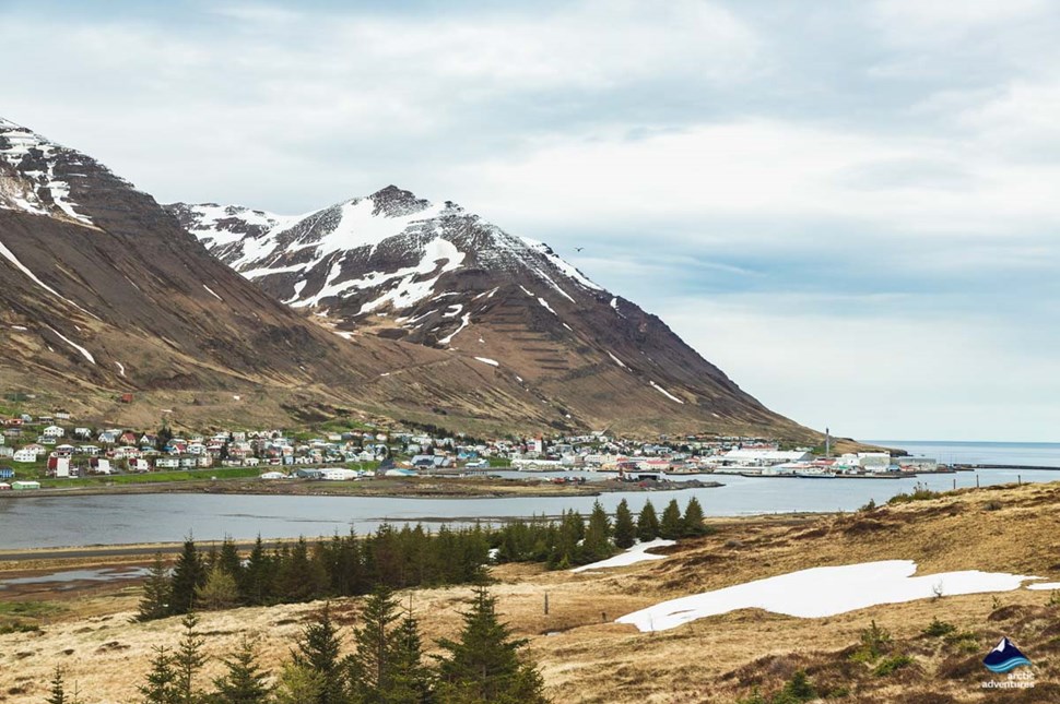 mountain landscape at Siglufjordur village