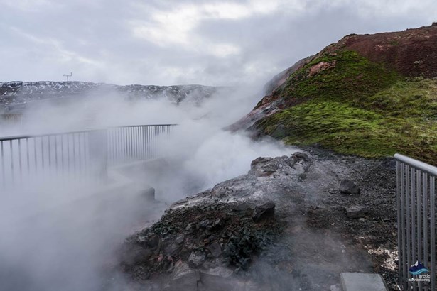 steamy geothermal sight in Iceland